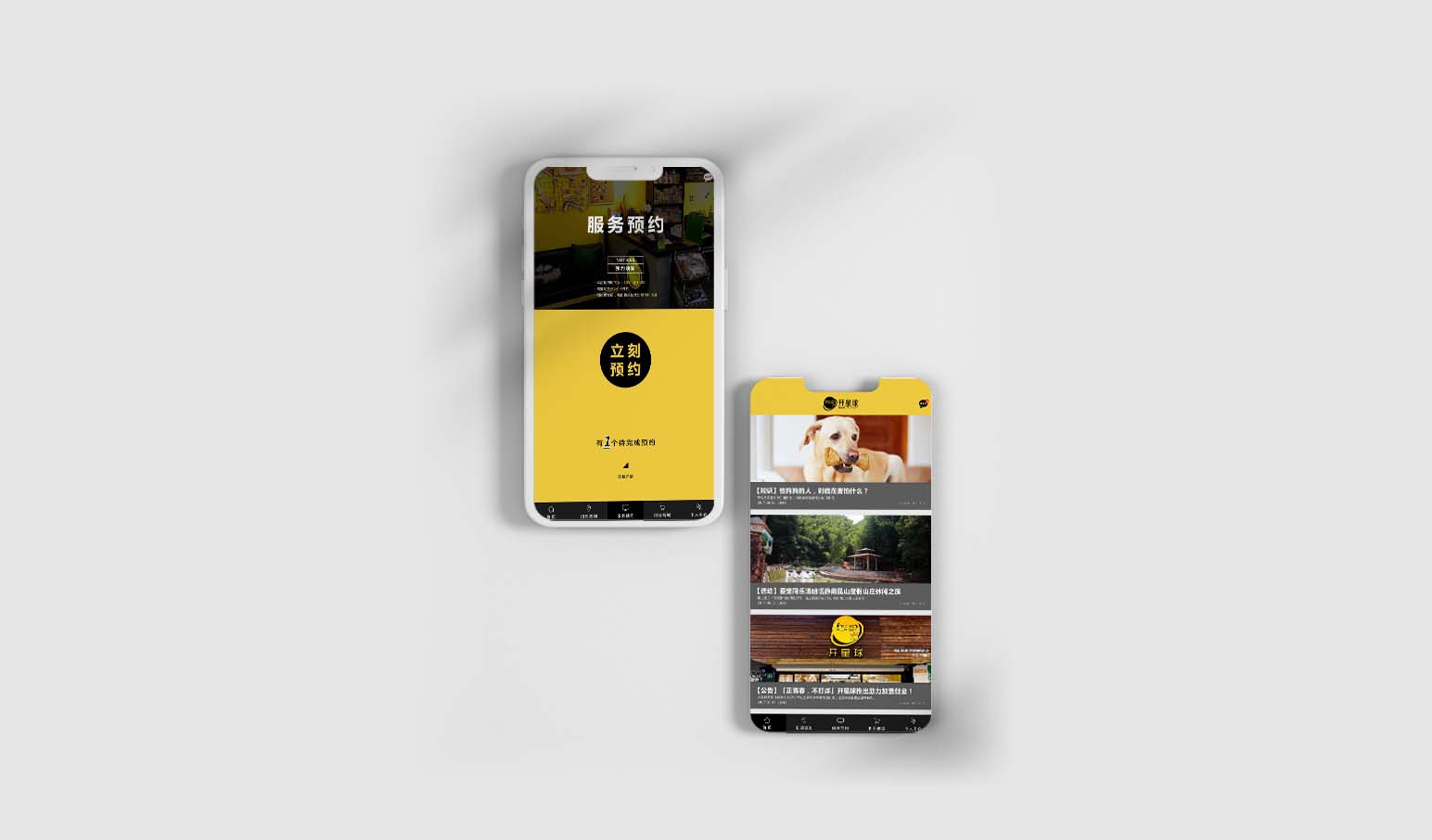 portfolio-img